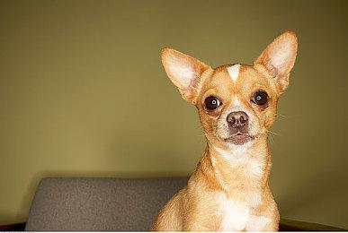 模拟经营卡牌游戏《保证不取物》现已上线Steam平台 2025年第三季度推出